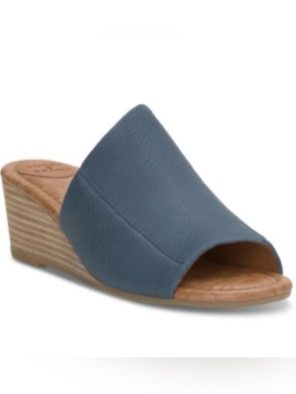 Lucy Brand Malenka Wedge Slide Sandal in Slate Blue - Women